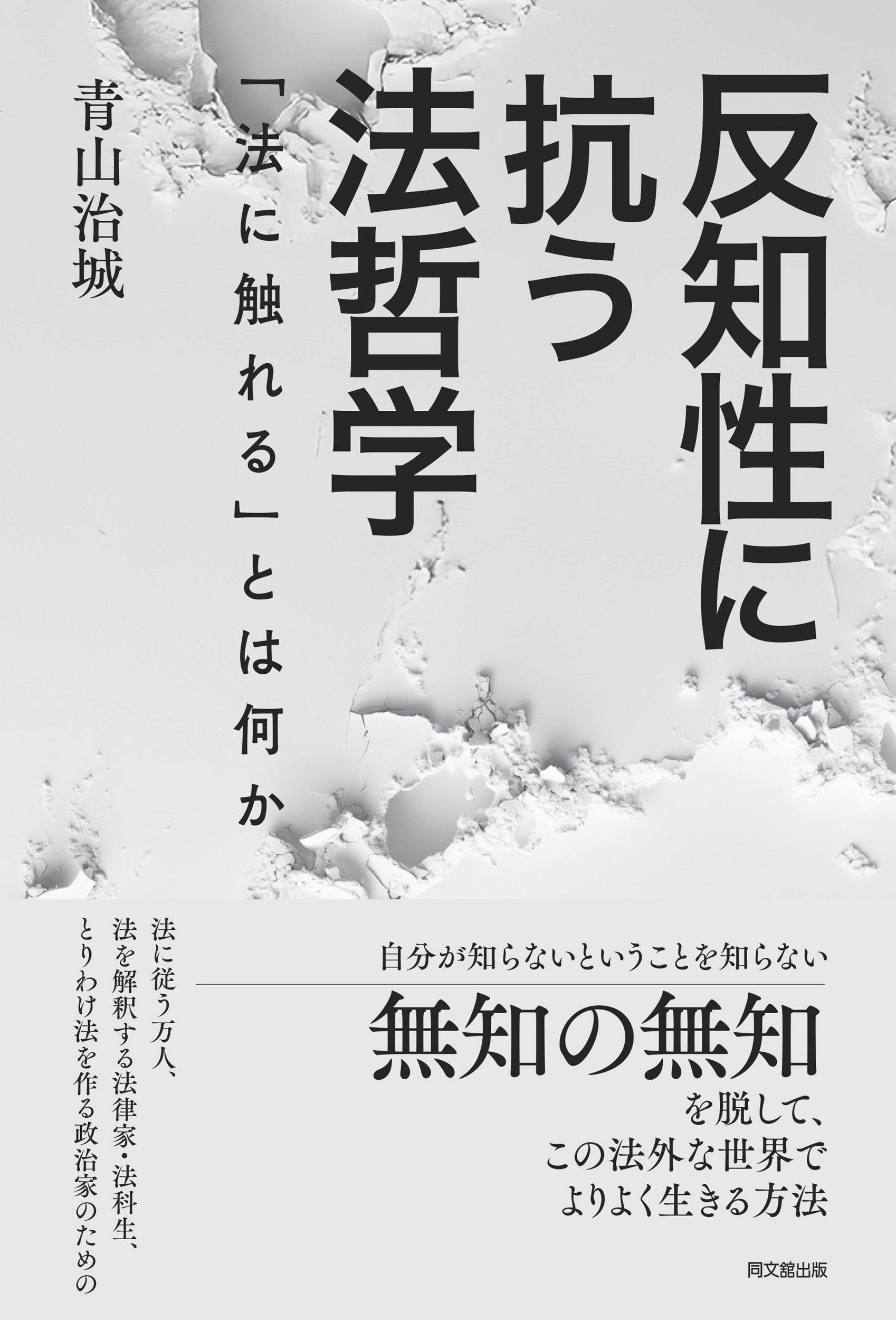 反知性に抗う法哲学
